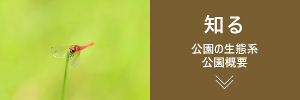知る